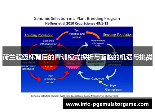 荷兰超级杯背后的青训模式探析与面临的机遇与挑战