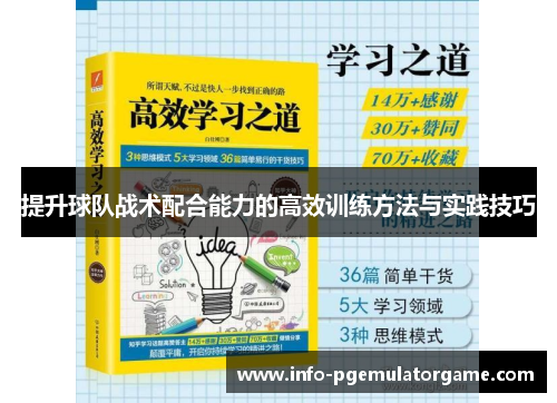 提升球队战术配合能力的高效训练方法与实践技巧