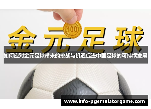 如何应对金元足球带来的挑战与机遇促进中国足球的可持续发展