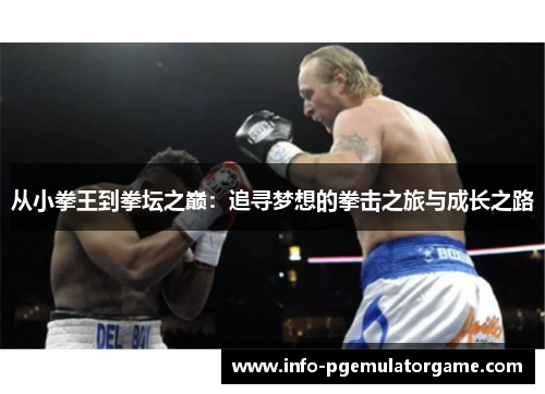 从小拳王到拳坛之巅：追寻梦想的拳击之旅与成长之路