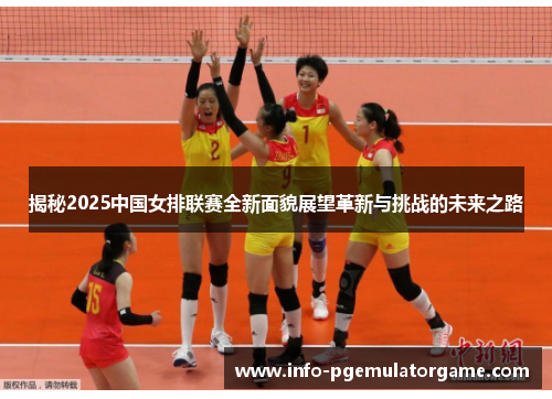 揭秘2025中国女排联赛全新面貌展望革新与挑战的未来之路