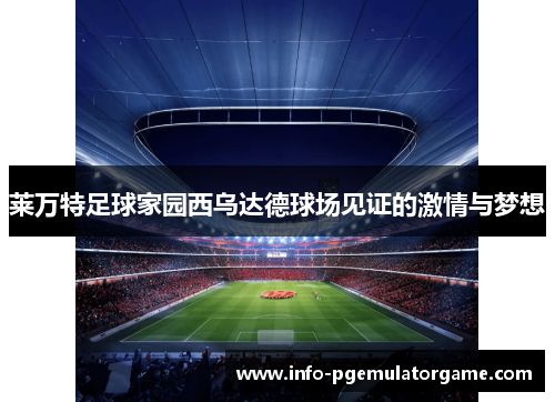 莱万特足球家园西乌达德球场见证的激情与梦想