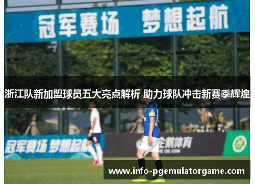 浙江队新加盟球员五大亮点解析 助力球队冲击新赛季辉煌