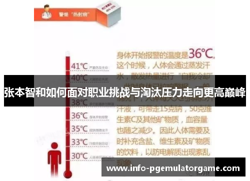 张本智和如何面对职业挑战与淘汰压力走向更高巅峰