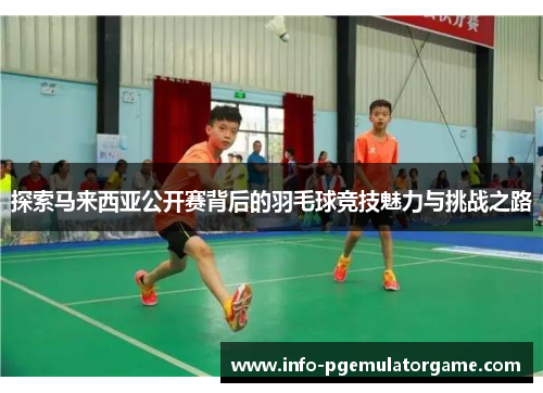 探索马来西亚公开赛背后的羽毛球竞技魅力与挑战之路
