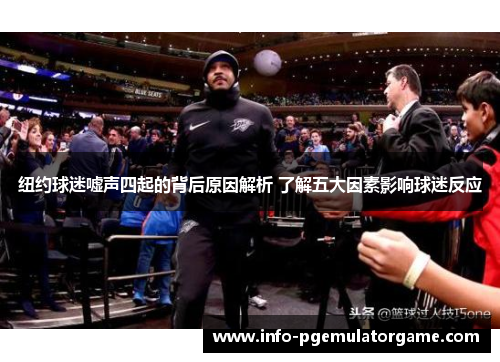 纽约球迷嘘声四起的背后原因解析 了解五大因素影响球迷反应