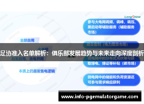 足协准入名单解析：俱乐部发展趋势与未来走向深度剖析