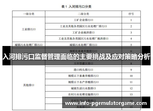 入河排污口监督管理面临的主要挑战及应对策略分析