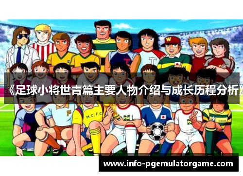 《足球小将世青篇主要人物介绍与成长历程分析》