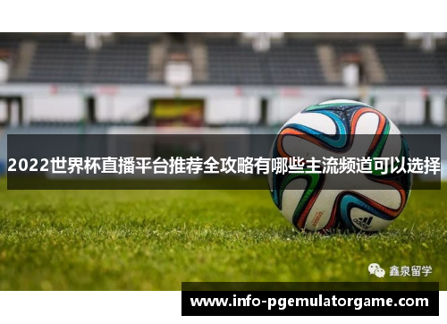 2022世界杯直播平台推荐全攻略有哪些主流频道可以选择