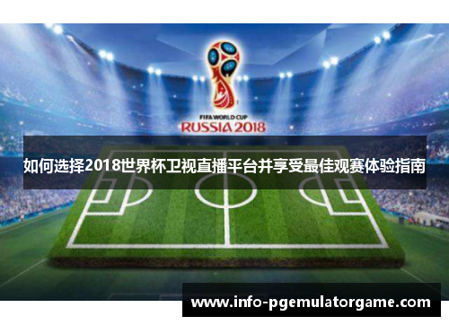 如何选择2018世界杯卫视直播平台并享受最佳观赛体验指南