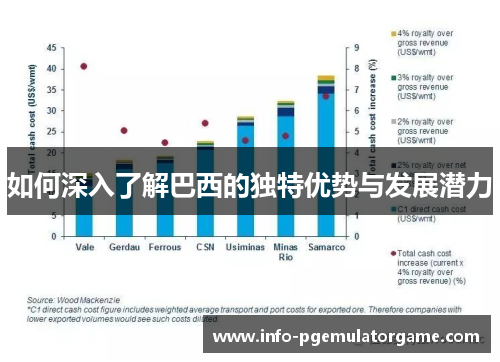 如何深入了解巴西的独特优势与发展潜力