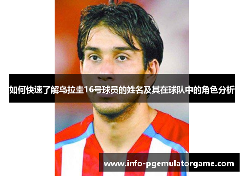 如何快速了解乌拉圭16号球员的姓名及其在球队中的角色分析