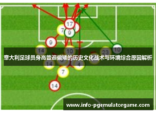 意大利足球员身高普遍偏矮的历史文化战术与环境综合原因解析