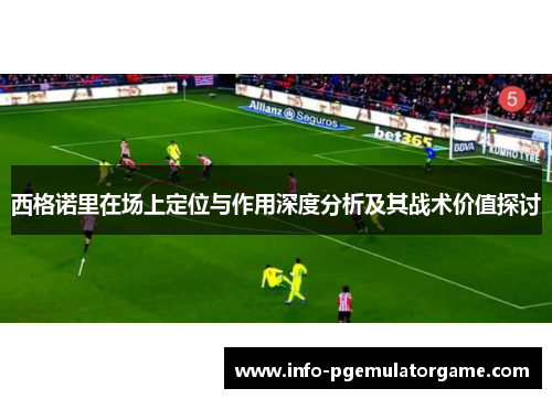 西格诺里在场上定位与作用深度分析及其战术价值探讨