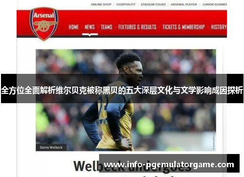 全方位全面解析维尔贝克被称黑贝的五大深层文化与文学影响成因探析 全方位全面解析维尔贝克被称黑贝的五大深层文化与文学影响成因探析