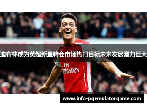 迪布林成为英超新星转会市场热门目标未来发展潜力巨大 迪布林成为英超新星转会市场热门目标未来发展潜力巨大