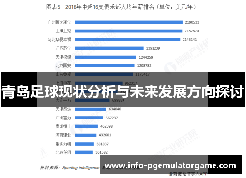 青岛足球现状分析与未来发展方向探讨