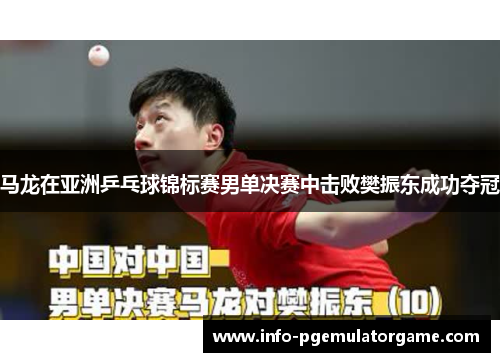 马龙在亚洲乒乓球锦标赛男单决赛中击败樊振东成功夺冠