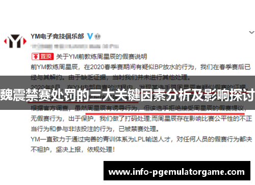 魏震禁赛处罚的三大关键因素分析及影响探讨