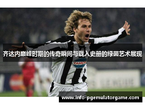 齐达内巅峰时期的传奇瞬间与载入史册的绿茵艺术展现
