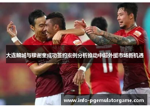 大连鲲城与穆谢奎成功签约案例分析推动中超外援市场新机遇