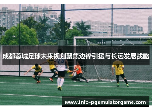 成都蓉城足球未来规划聚焦边锋引援与长远发展战略