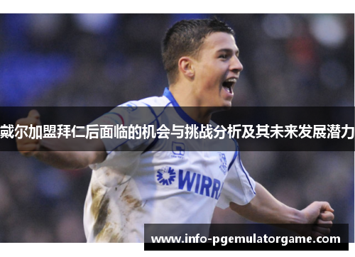 戴尔加盟拜仁后面临的机会与挑战分析及其未来发展潜力