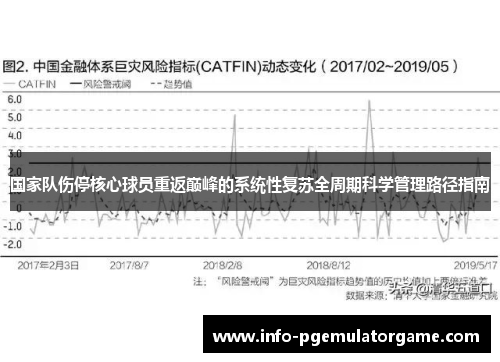 国家队伤停核心球员重返巅峰的系统性复苏全周期科学管理路径指南