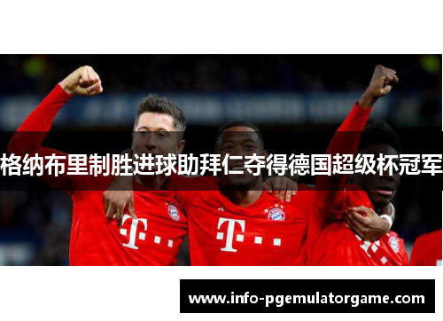 格纳布里制胜进球助拜仁夺得德国超级杯冠军