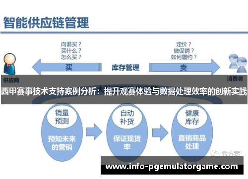 西甲赛事技术支持案例分析：提升观赛体验与数据处理效率的创新实践