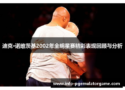 迪克·诺维茨基2002年全明星赛精彩表现回顾与分析