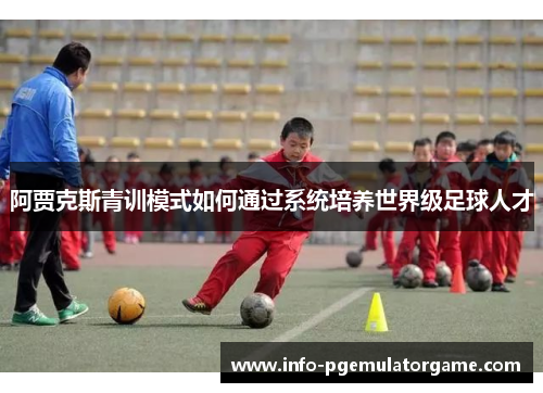 阿贾克斯青训模式如何通过系统培养世界级足球人才